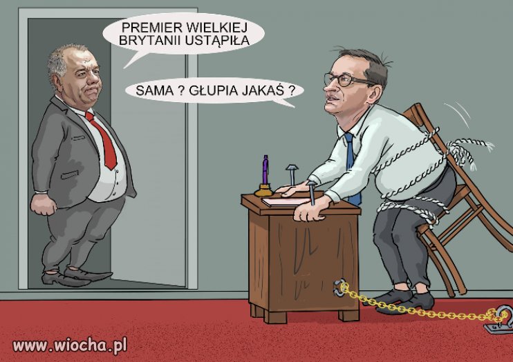 Chyba głupia 