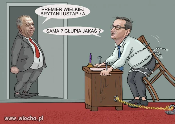 Chyba głupia 