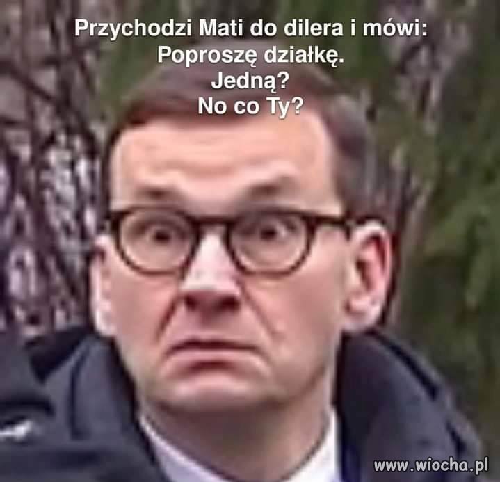 Dwie dzialki