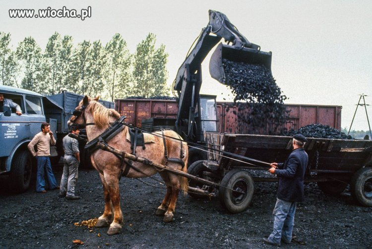 Fot. Chris Niedenthal 1982. 