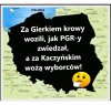 ...aż nastał pis