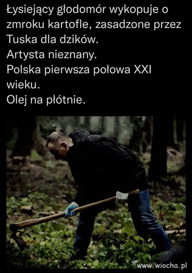 ,,,