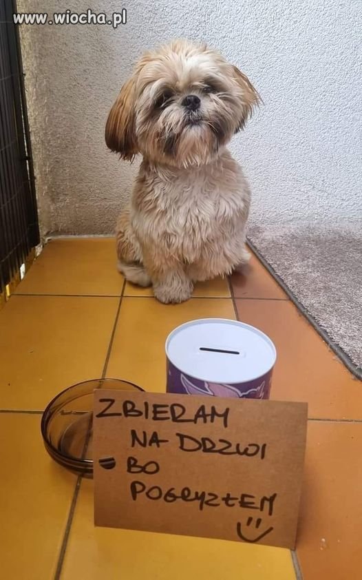 Trochę przesadziłem