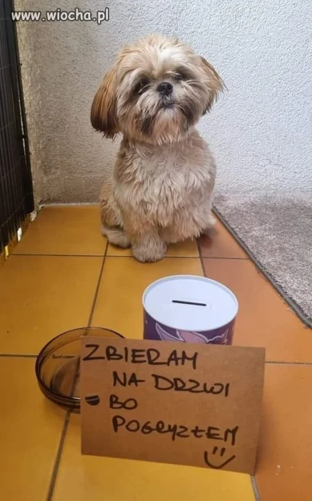Trochę przesadziłem