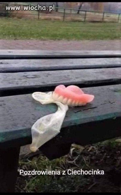 Babcia na dorobku 