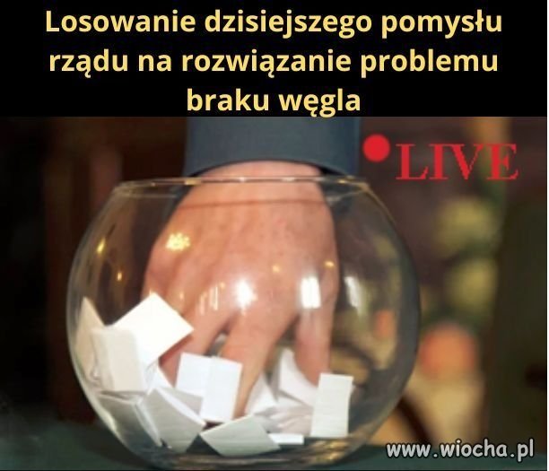 Na żywo