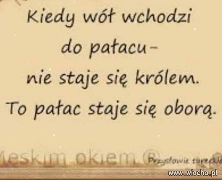 Z woła króla nie zrobisz