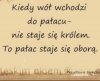 Z woła króla nie zrobisz