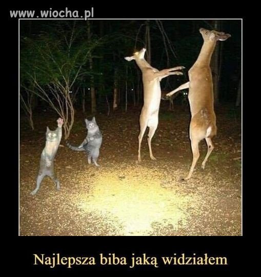 W rządzie na pewno
