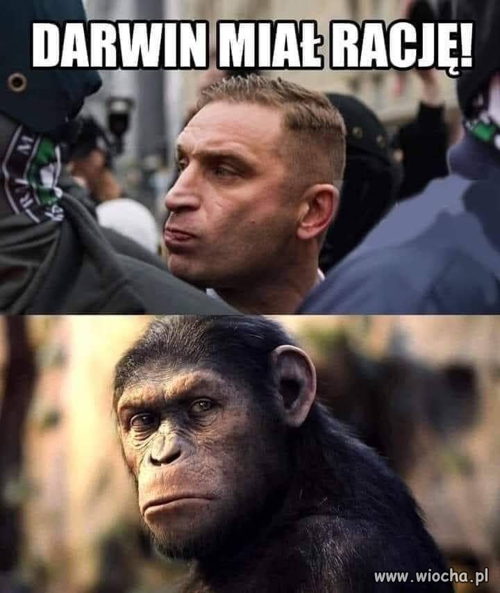 Bez komentarza