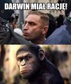 Bez komentarza