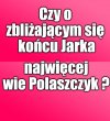 Kolega pytał