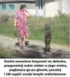 I wszystko wiadomo