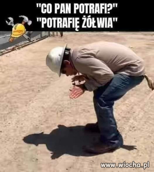 Do sejmu