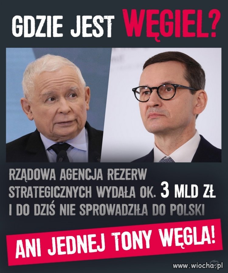 Do czego doprowadzi nas ich niekompetencja?