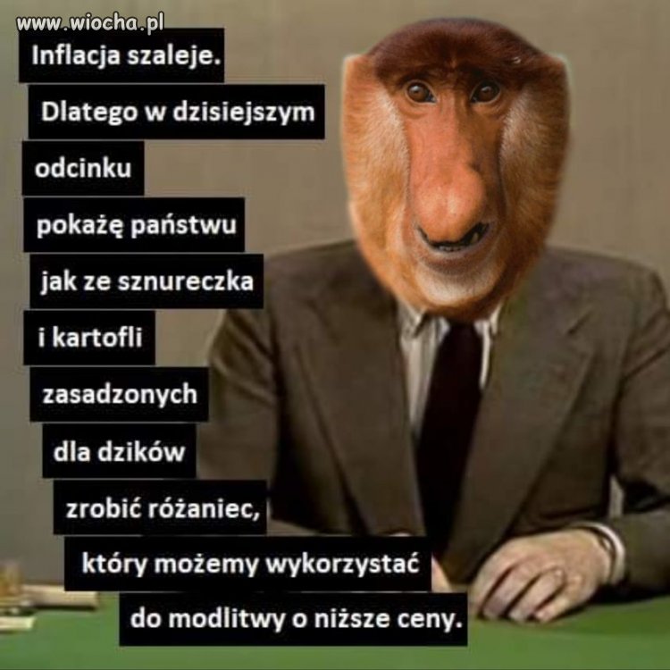 Porad kilka