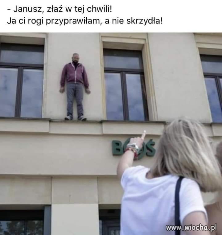 Janusz źle zrozumiał