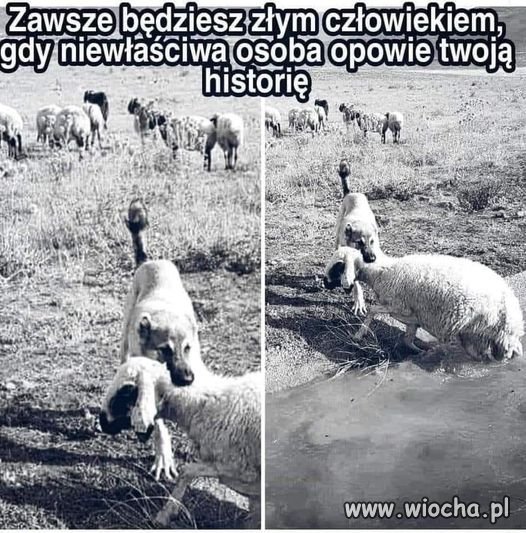 Jakie to prawdziwe
