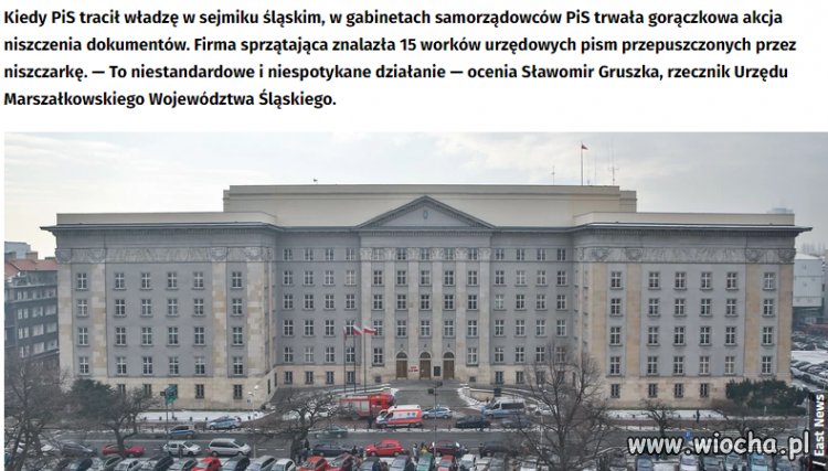 Czyżby pis się czegoś obawiał?