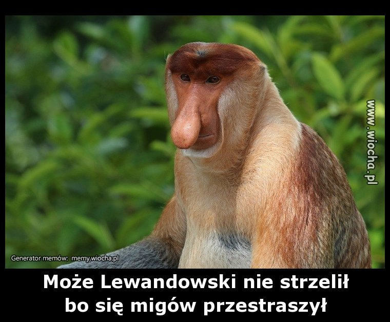 Może Lewandowski nie strzelił