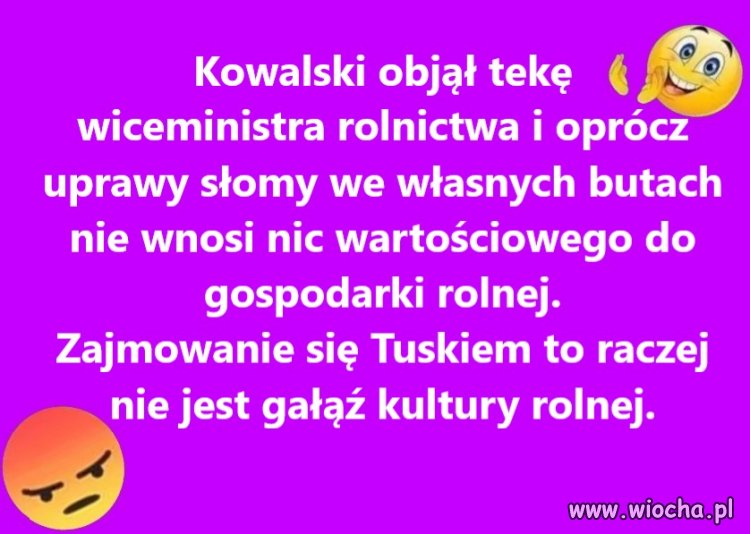 ''Kwiaty przynosił, o zdjęcia prosił...''