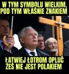 Przedziwne 