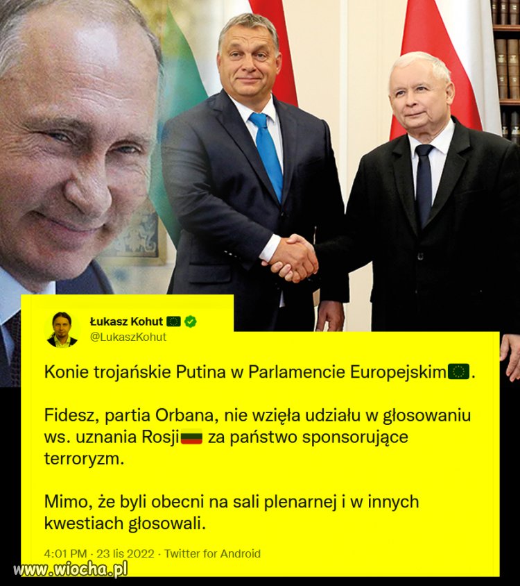 Partia Orbana, nie wzięła udziału w głosowaniu 