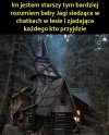 Dokładnie to rozumiem