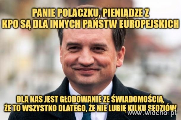 Pisowskie ścierwo 