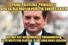 Pisowskie ścierwo 