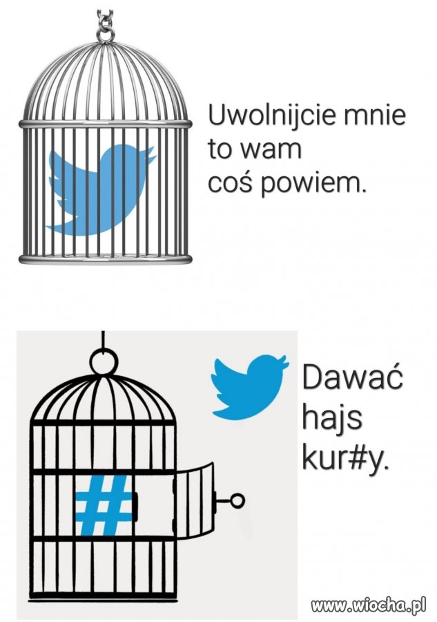 Uwolnić ptaszka 