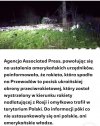 Oooo... Za szybko wydano wyrok