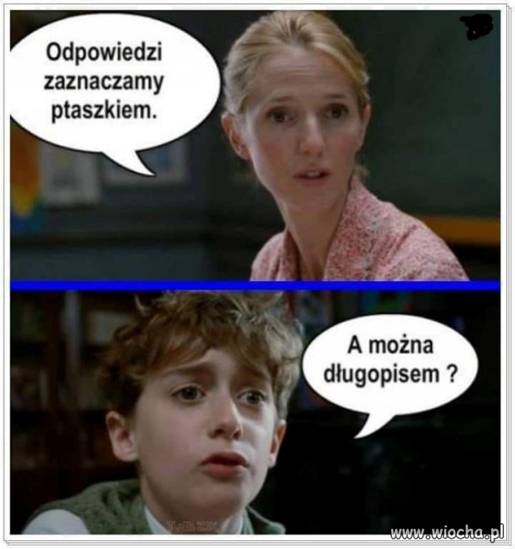Postawie ci pałę