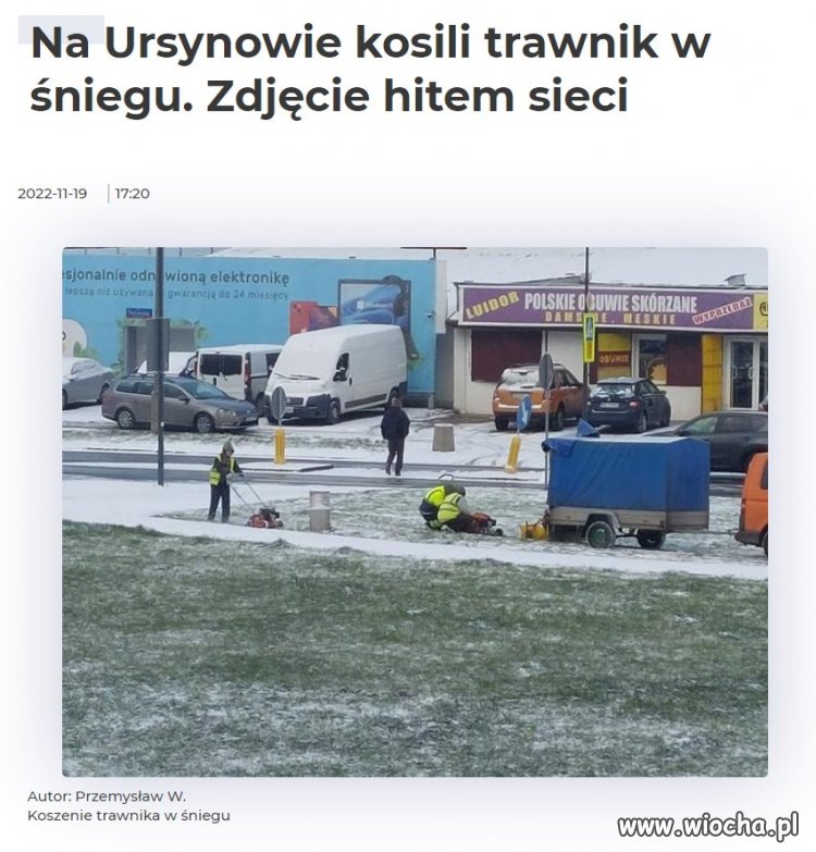 Koszenie Trawy Zimą 2022