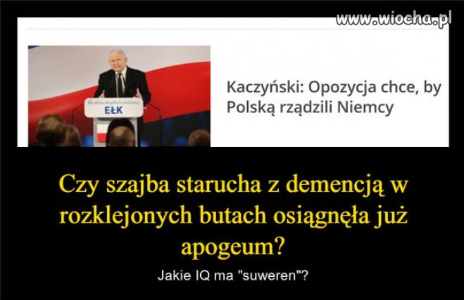Kolejna intelektualna perełka, najmądrzejszego na świecie...