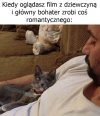 Z cyklu