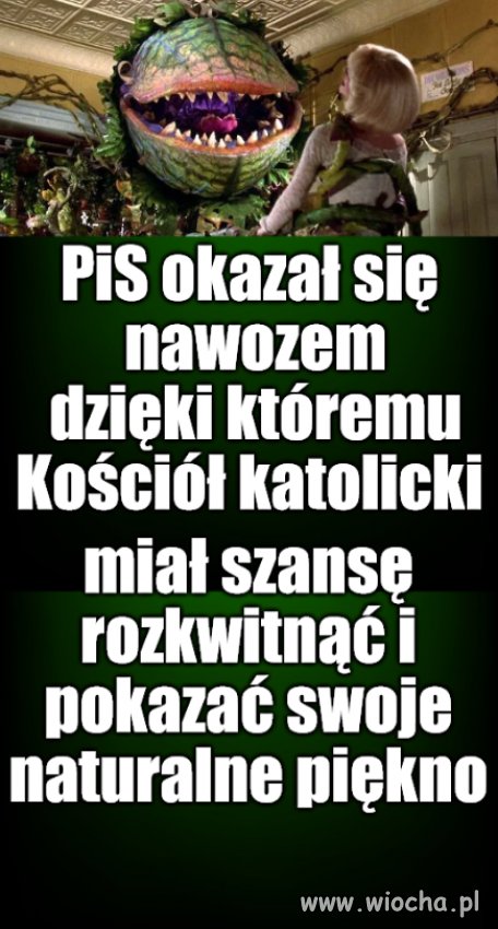 Po ich owocach poznacie ich