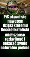 Po ich owocach poznacie ich
