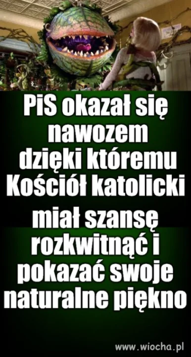 Po ich owocach poznacie ich