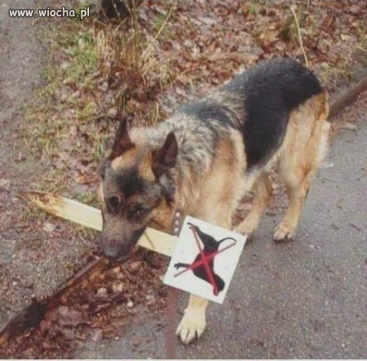 Nie mów mi