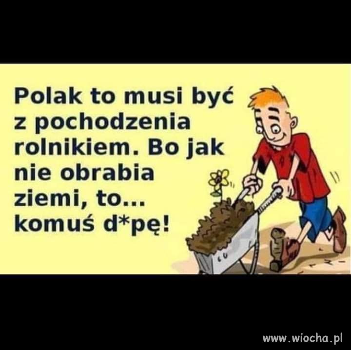 Polak potrafi.