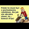 Polak potrafi.