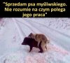 Nie rozumie