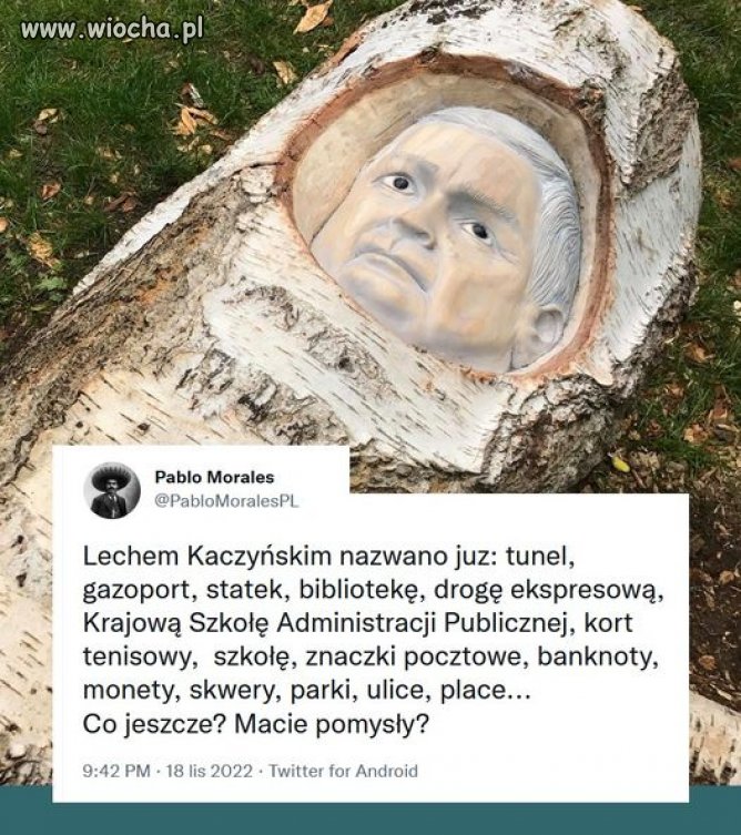 Może jakąś toaletę?