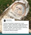 Może jakąś toaletę?
