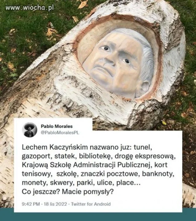 Może jakąś toaletę?