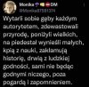 PIS w pigułce