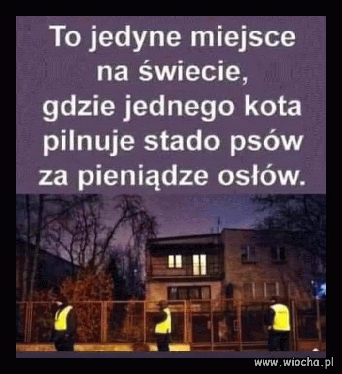 Dokładnie