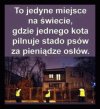 Dokładnie