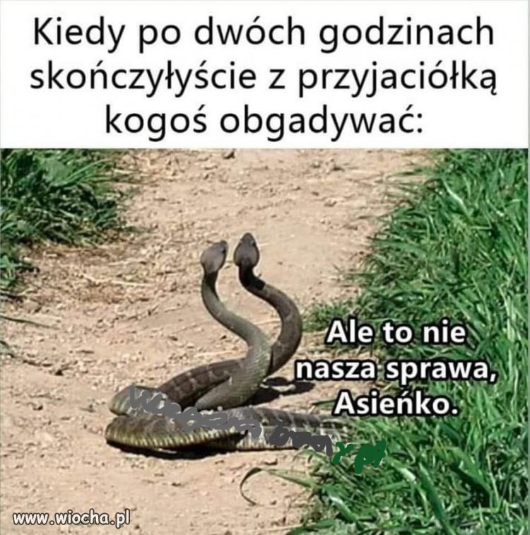 Dokładnie